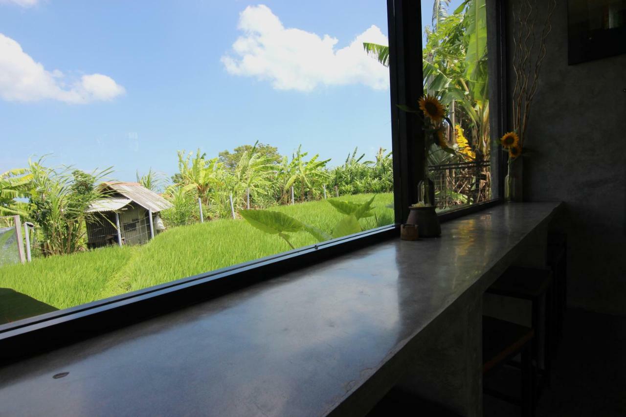 De Vir House Apartment Canggu Exterior foto