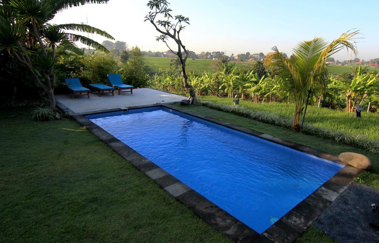 De Vir House Apartment Canggu Exterior foto